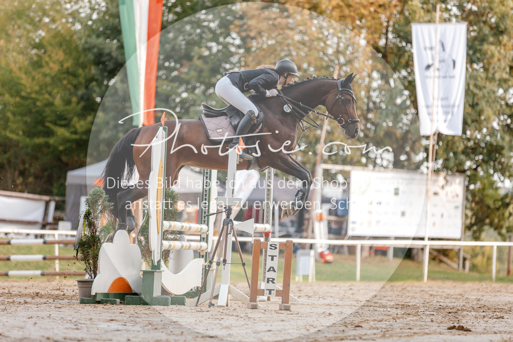 3I6A2016 | Stimmungsvolle Portraits und Reitsportfotografie im Ruhrgebiet und im Münsterland.

Pferdefotografie, Hundefotografie, Tierfotografie, Reportagen, Portraits von Tier und Mensch, Turnierfotografie in Bochum, Recklinghausen, Marl, Haltern am See, Dülmen.. - Realisiert mit Pictrs.com