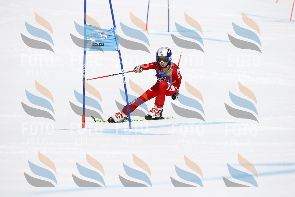 _U3G4682 | holidayphoto