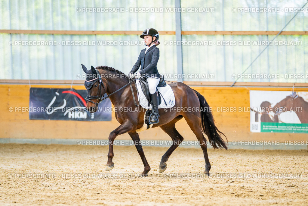 DSC07288 | Pferdegrafie