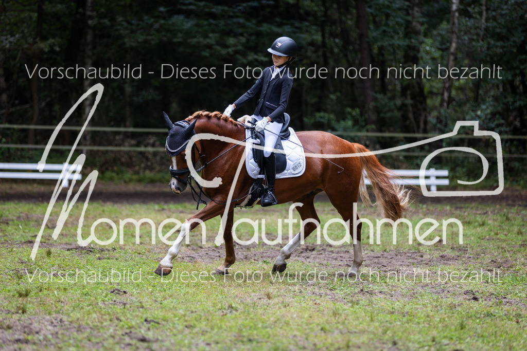 HB-Reiter-WB-066 | MomenTaufnahmen Pferdesportfotos