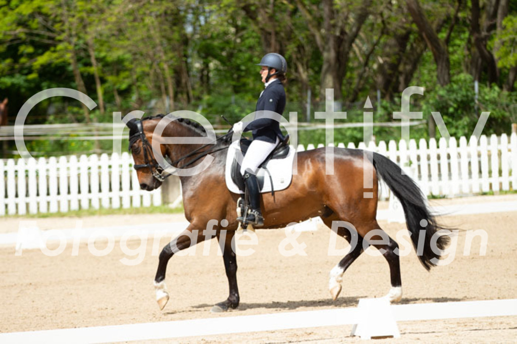 IMG_5944 | Creatify Fotografie