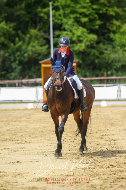 DKP46334 | Turniersportfotografie; Pferdefotografie; Dressurfotografie