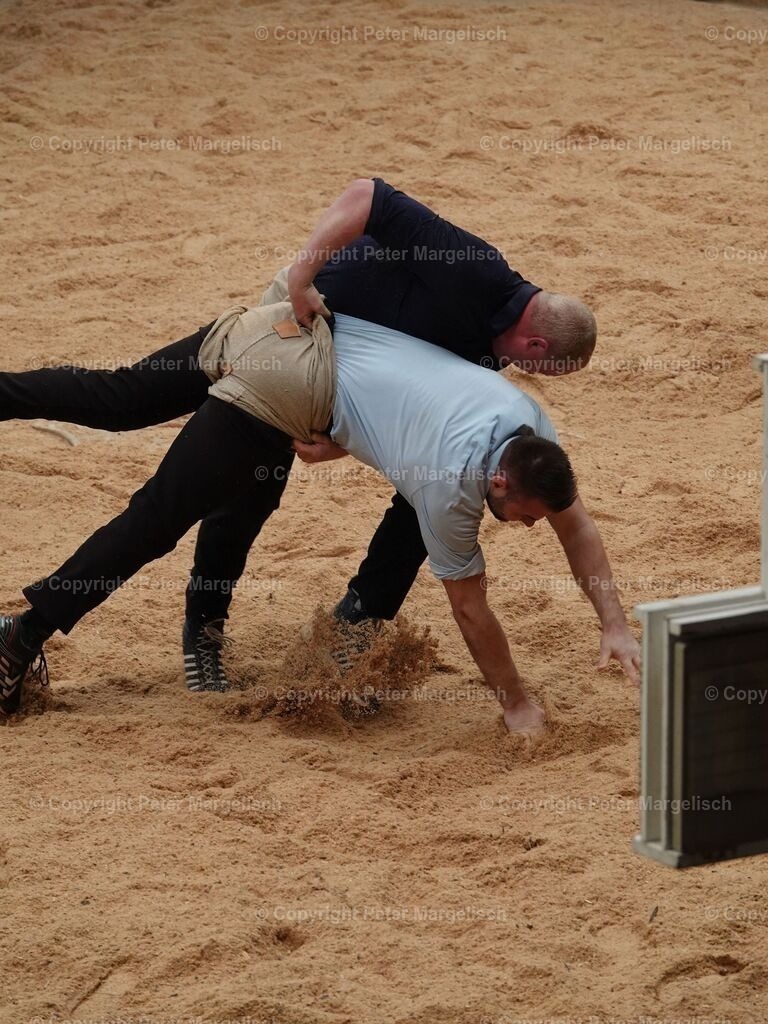 k-DSC06154 | Schwingen - Realisiert mit Pictrs.com