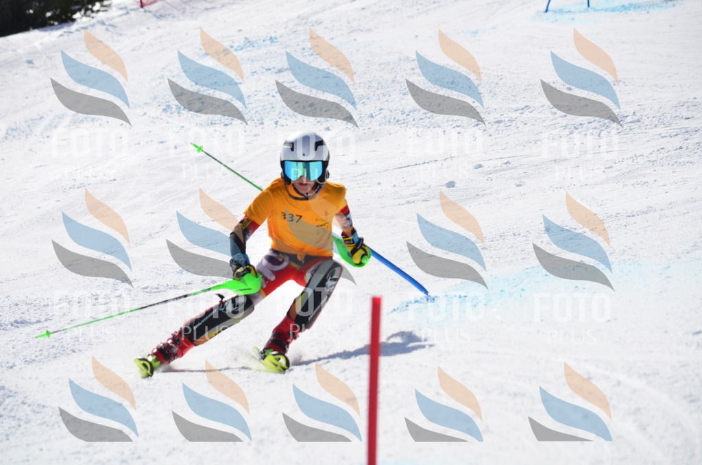 C9699 | holidayphoto