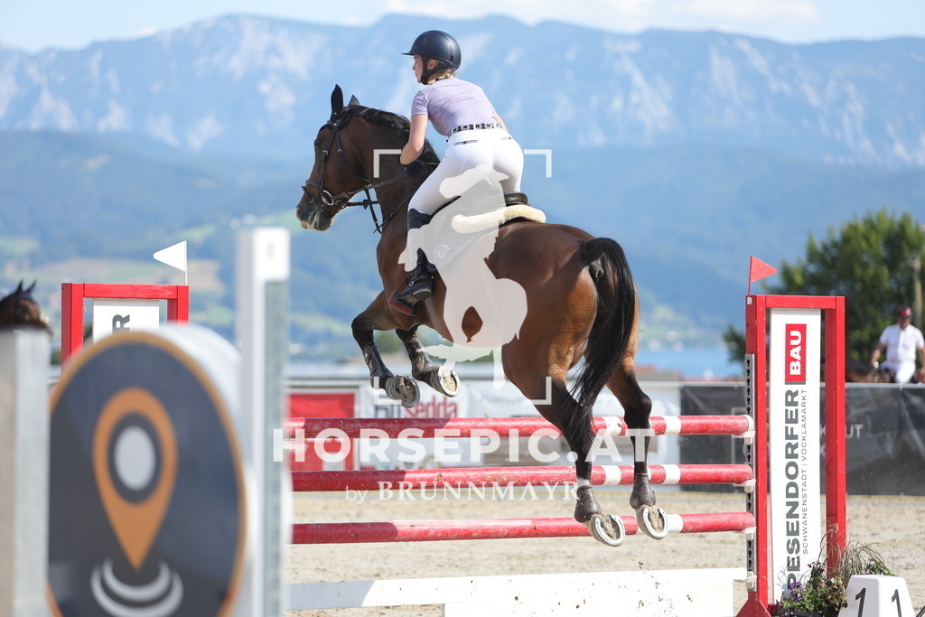 0P6A7112 | Willkommen bei Brunnmayr - Design & Fotografie – Ihrem Spezialisten für Reitturniere und Pferdeveranstaltungen in Oberösterreich, Salzburg und Bayern! Seit über 17 Jahren sind wir leidenschaftlich dabei.