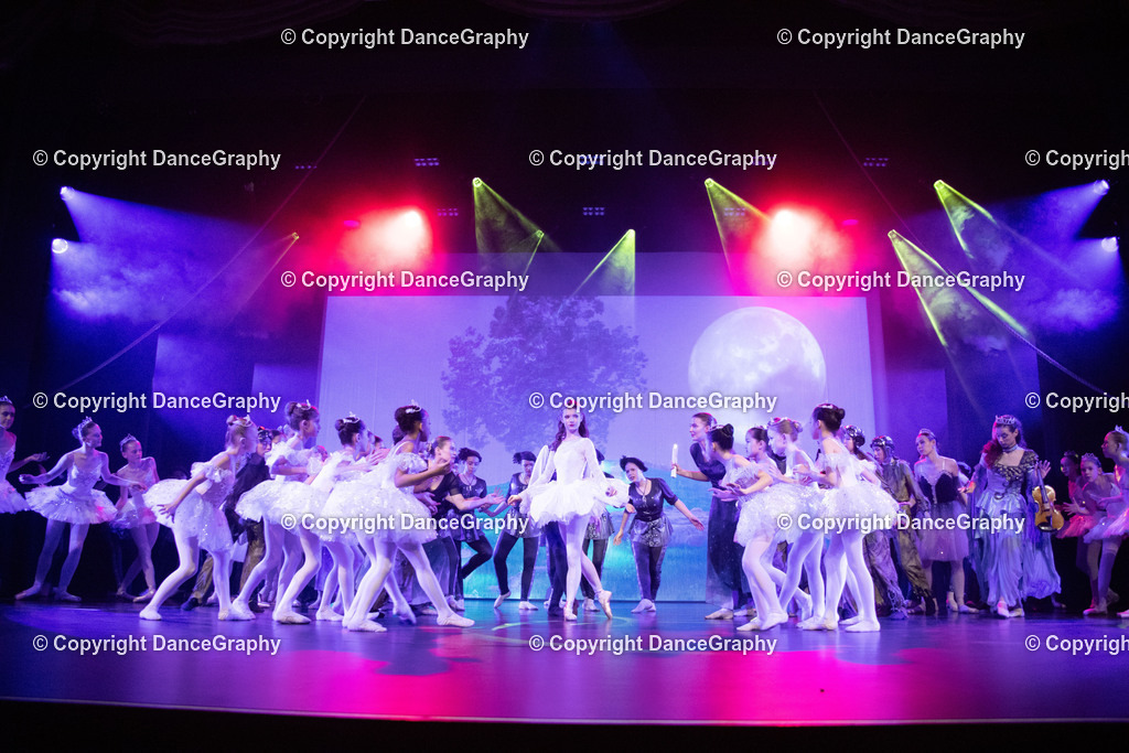 GPHY3437 | DanceGraphy - Realisiert mit Pictrs.com