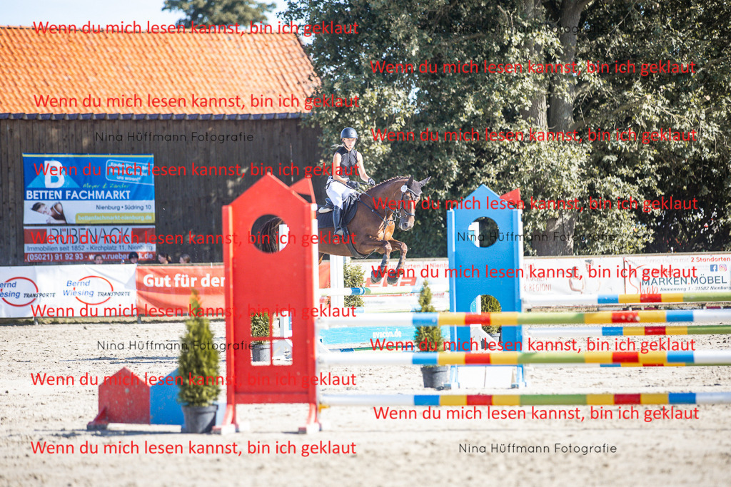 BK1A7301 | Turnierbilder Turnierfotos Nina Hüffmann Turnierfotografie Pferdefotografie Tierzeichnung Haustierzeichnung Pferdezeichnung Hundezeichnung Videograf  - Realisiert mit Pictrs.com