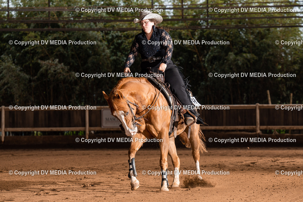 Erbach Tag 2-985 | dv-media-shop - Realisiert mit Pictrs.com