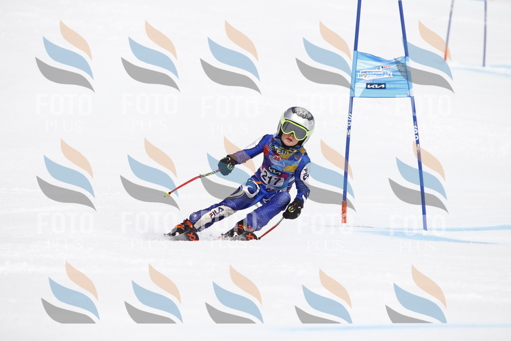 _U3G5594 | holidayphoto