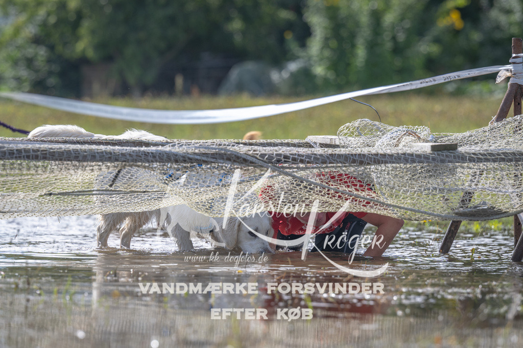 1206_ZZ90078 | kk-dogfotos