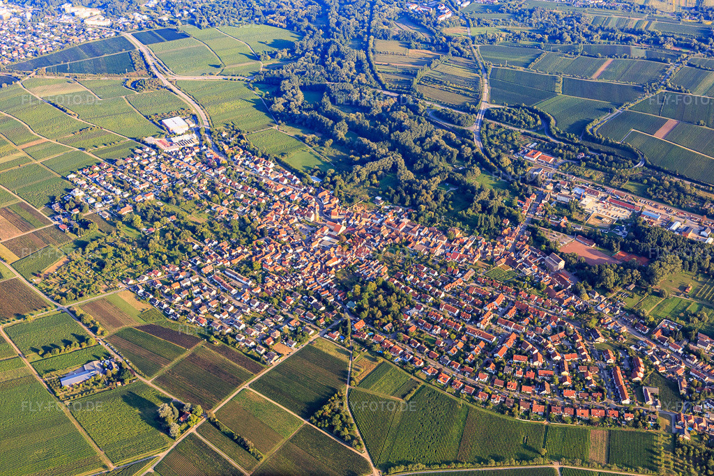 Luftbild: Ortsansicht von Nordosten im Ortsteil Godramstein in Landau im Bundesland Rheinland-Pfalz in Deutschland. Foto: IMG_103179.jpg vom 03.09.2017 durch Werner Riehm/FLY-FOTO.de