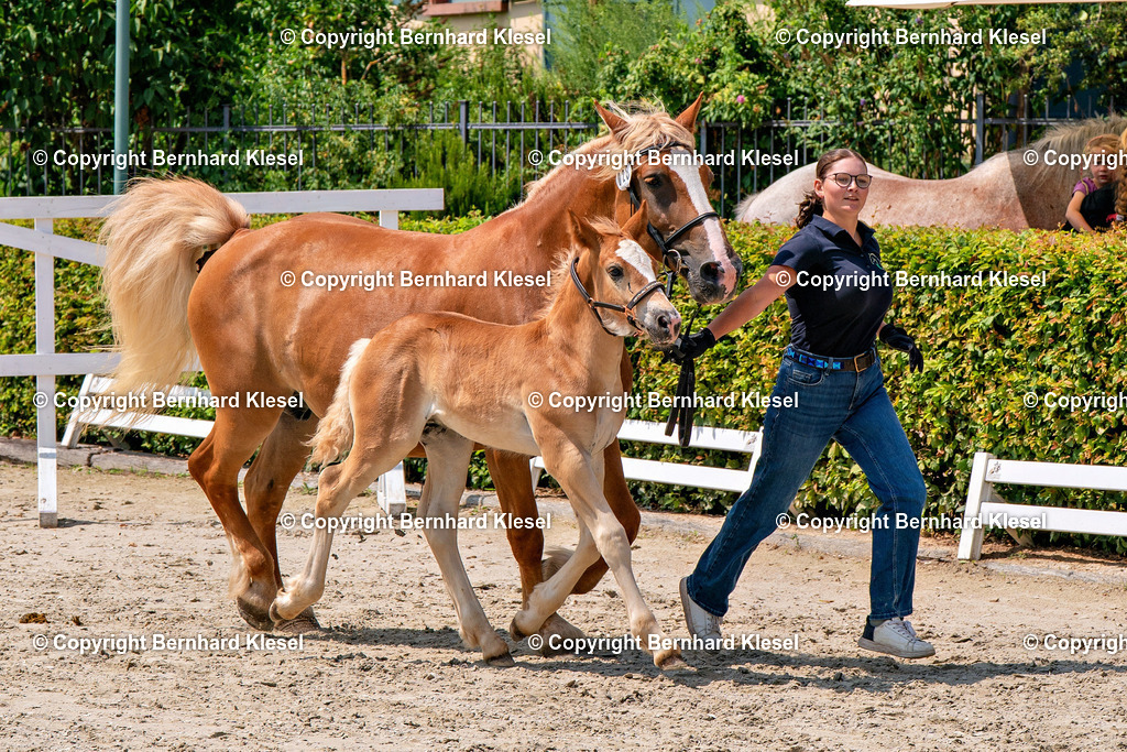 2A901196 | foto-team-bernhard - Realisiert mit Pictrs.com