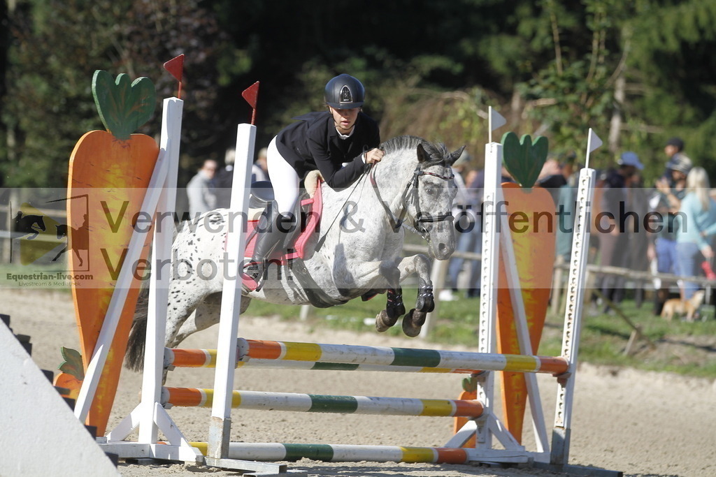 _MG_4012 | equestrian-live-com