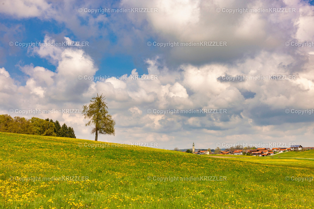 Otting | medienkrizzler - Realisiert mit Pictrs.com