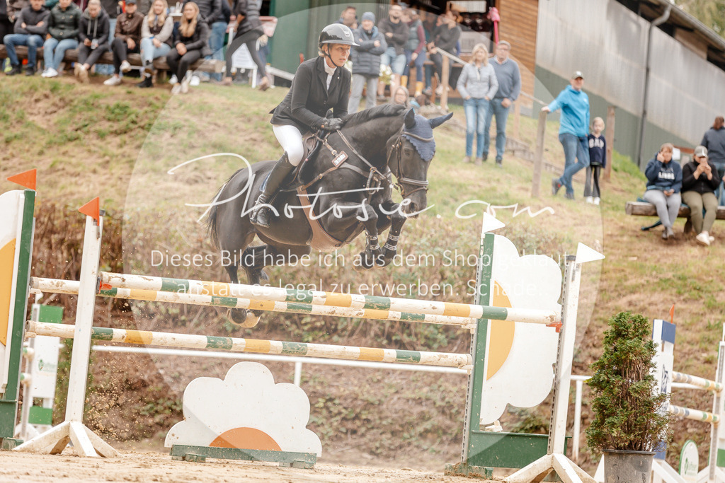 3I6A8474 | Stimmungsvolle Portraits und Reitsportfotografie im Ruhrgebiet und im Münsterland.

Pferdefotografie, Hundefotografie, Tierfotografie, Reportagen, Portraits von Tier und Mensch, Turnierfotografie in Bochum, Recklinghausen, Marl, Haltern am See, Dülmen.. - Realisiert mit Pictrs.com
