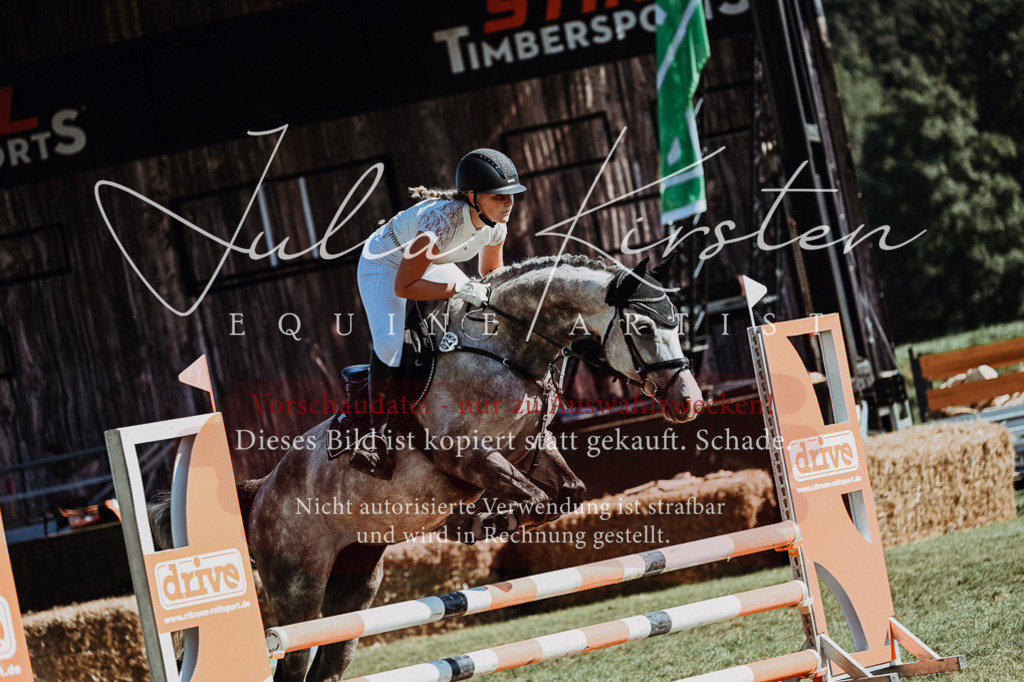 DSC_6799 | Pferde- und Turnierfotografie in Westsachsen. Pferdeportraits, Auftragszeichnungen und intuitive Kunst.