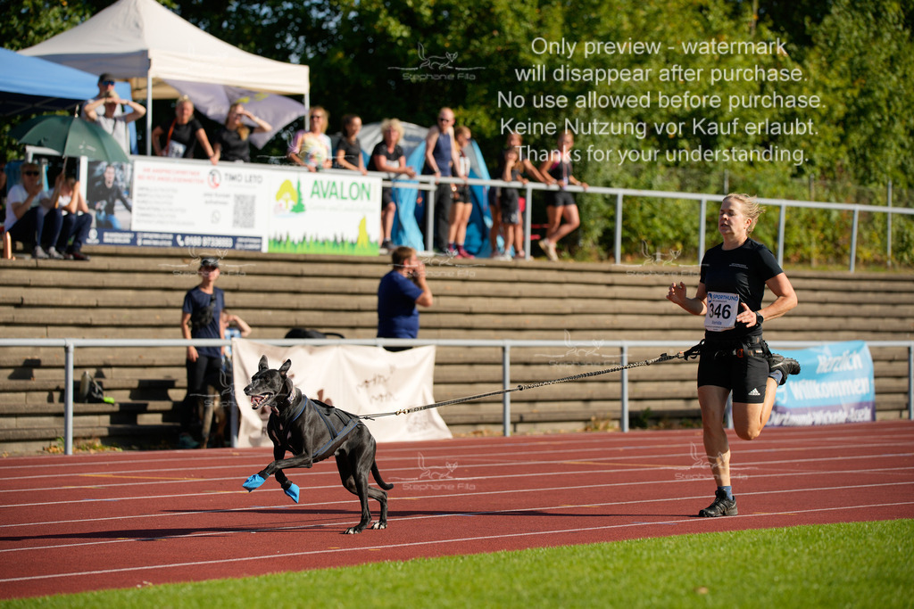 Sonntag_Staffel (129 von 336) | stephaniefillaphotographie - Realisiert mit Pictrs.com