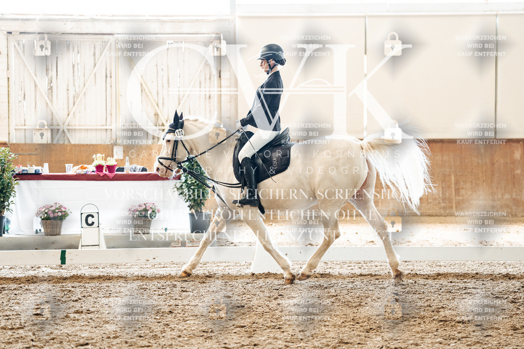 CK900166 | Turnierfotografie Pferdefotografie Trier Rheinland-Pfalz Pferdesport Reitsport Tierfotografie Sportfotografie Pferdevideo Pferdevideografie Equestrianvideography equestrianphotography  - Realisiert mit Pictrs.com