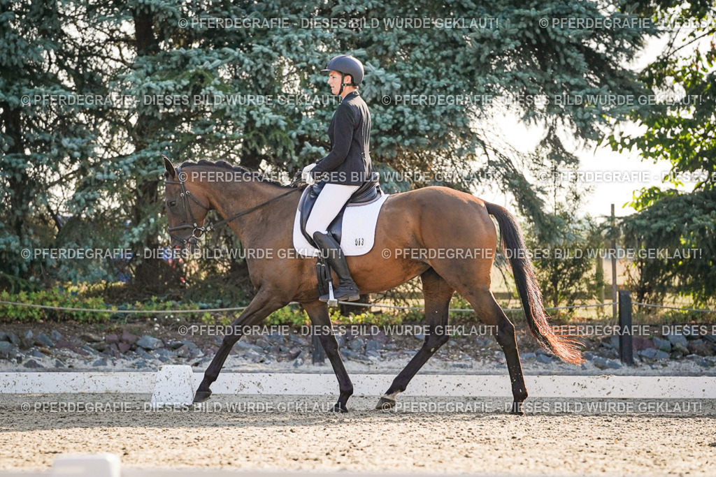 DSC08359 | Pferdegrafie