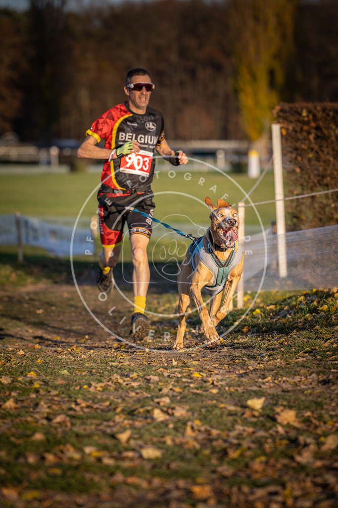 CaniXpix_DV3A4655 | Hundefotografie, Tierfotograf, Pfotenfotografie, Fotoshooting Hund, Hunde Portrait, Hundesport, Hundeportraits, Heideshooting, Hunde, Sportfotograf, Hundefotograf, Turnierhundsport, THS,  - Realisiert mit Pictrs.com
