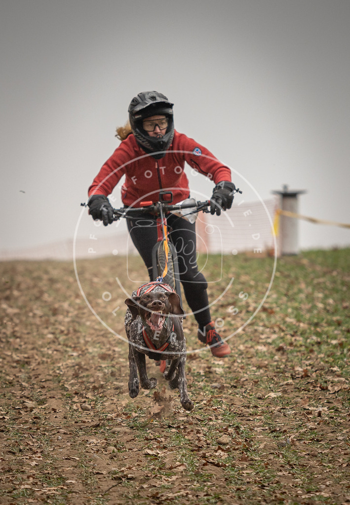 Pfotenfotografie_DV3A3601 | Hundefotografie, Tierfotograf, Pfotenfotografie, Fotoshooting Hund, Hunde Portrait, Hundesport, Hundeportraits, Heideshooting, Hunde, Sportfotograf, Hundefotograf, Turnierhundsport, THS,  - Realisiert mit Pictrs.com