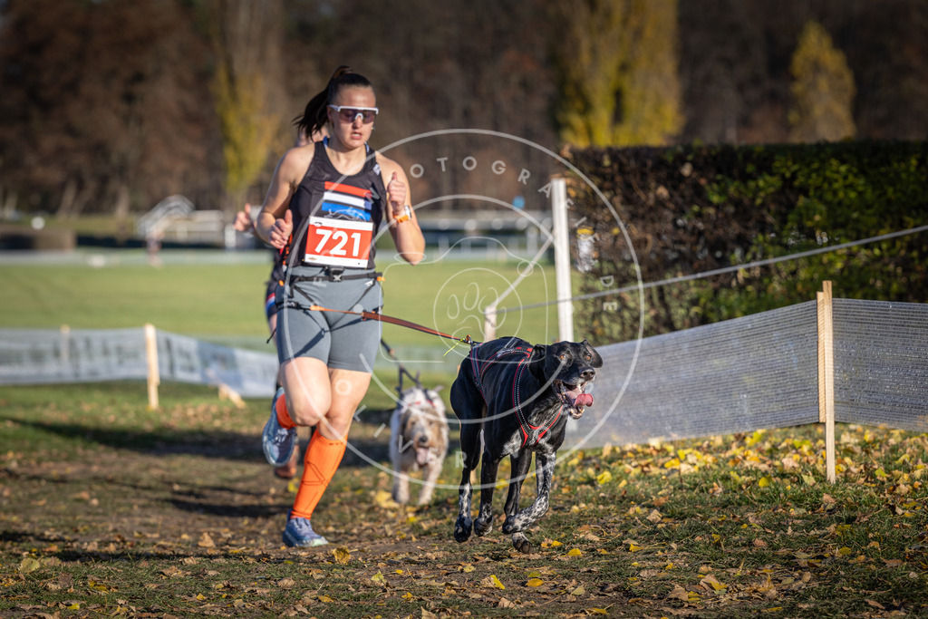 CaniXpix_DV3A1846 | Hundefotografie, Tierfotograf, Pfotenfotografie, Fotoshooting Hund, Hunde Portrait, Hundesport, Hundeportraits, Heideshooting, Hunde, Sportfotograf, Hundefotograf, Turnierhundsport, THS,  - Realisiert mit Pictrs.com