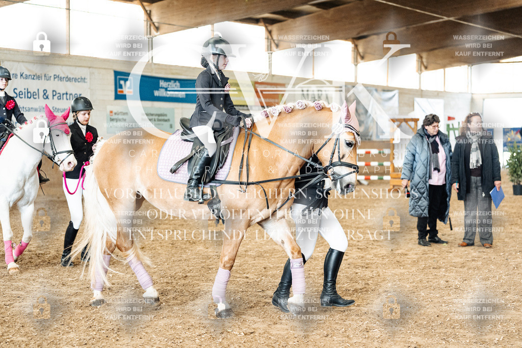 CK906041 | Turnierfotografie Pferdefotografie Trier Rheinland-Pfalz Pferdesport Reitsport Tierfotografie Sportfotografie Pferdevideo Pferdevideografie Equestrianvideography equestrianphotography  - Realized with Pictrs.com