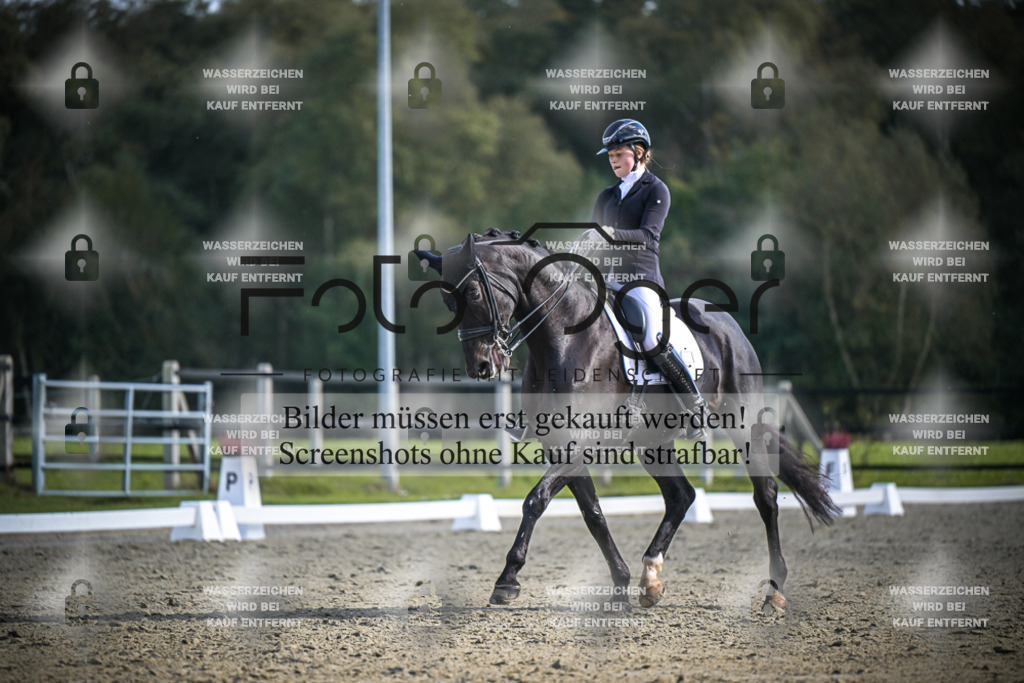 DOS_0264 | Entdecke hochwertige Reitturnierfotos von Foto Oger. Professionell, emotional und authentisch – jetzt Lieblingsmomente im Shop bestellen.Deutschlandweite Turnierfotografie. - Realisiert mit Pictrs.com