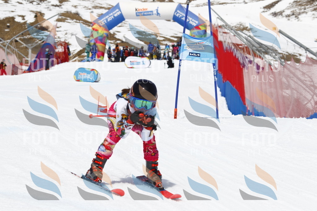 _U3G8030 | holidayphoto