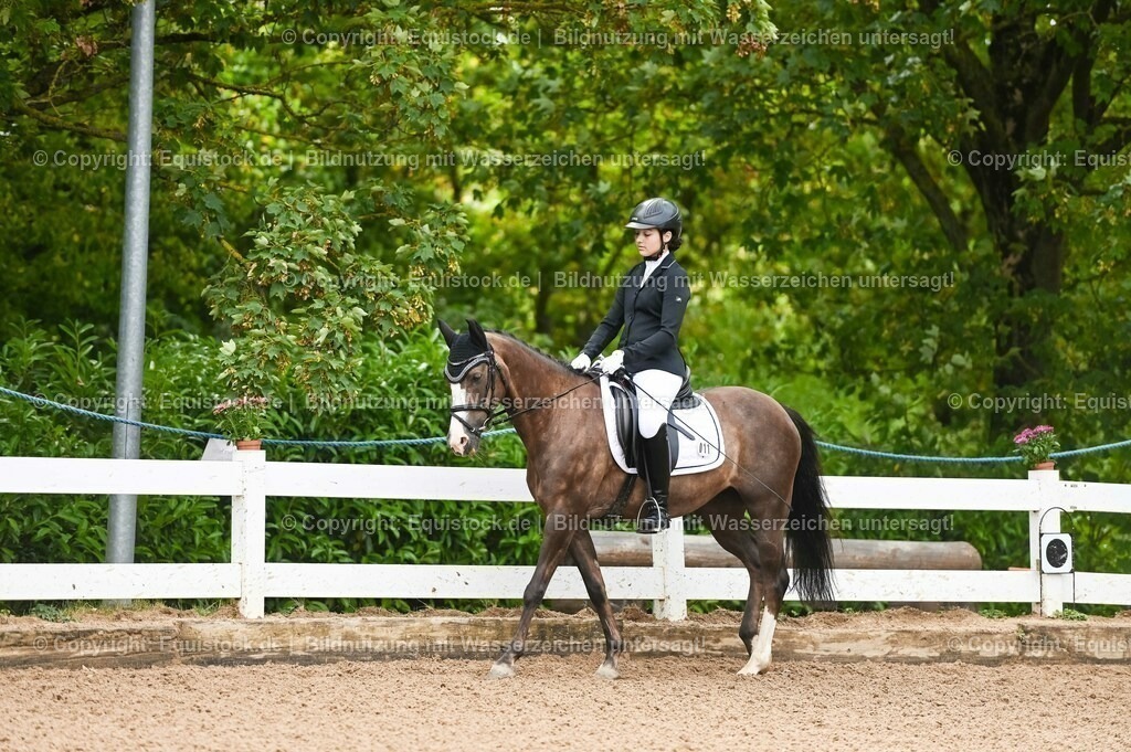 20230716_10-1_Reiter-WB Schritt - Trab - Galopp_0007 | equistock