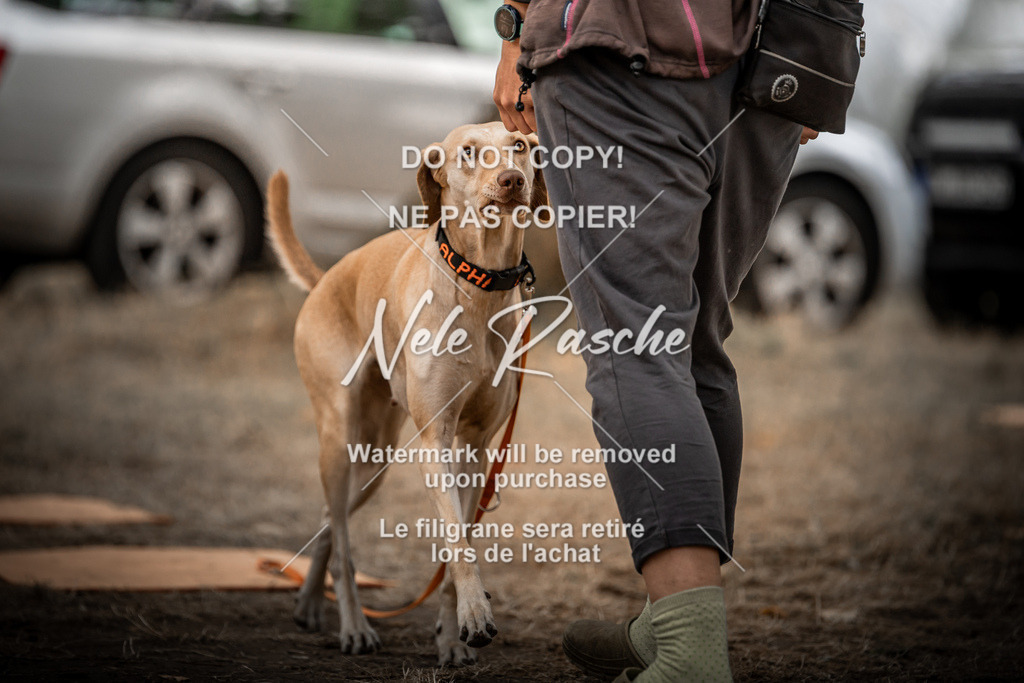 nelerasche_slaw24Fr1_279 | nelerasche