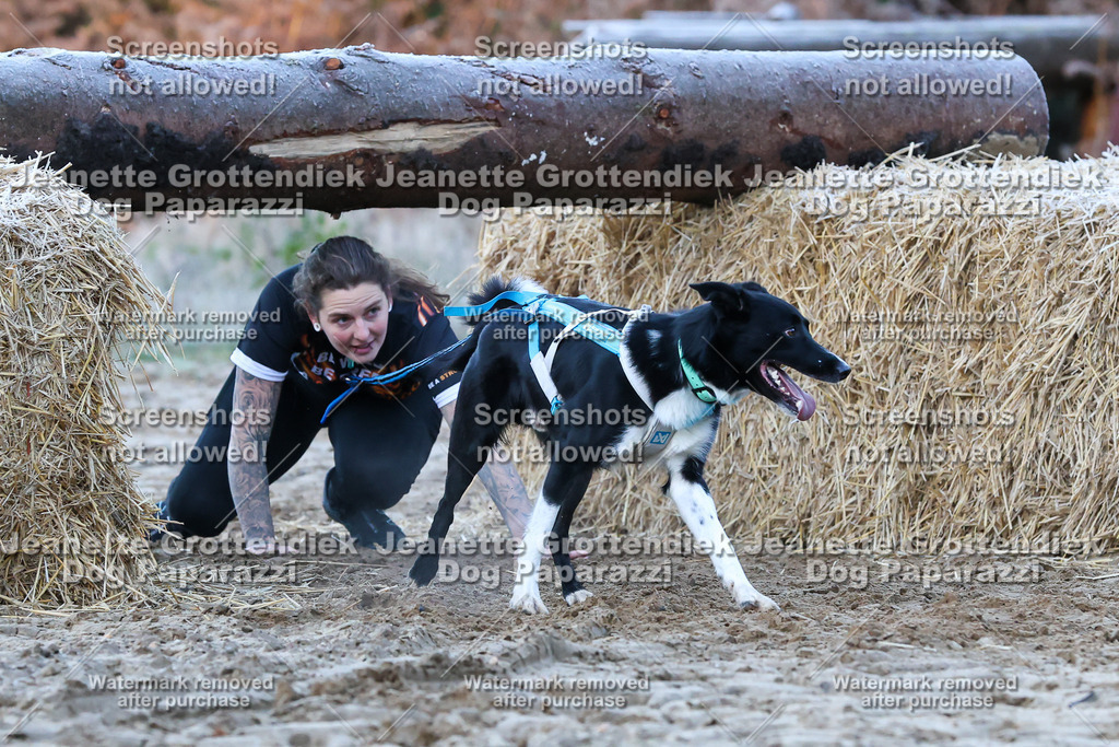 Dog Paparazzi - Strongdog 10-25-270 | Dog Paparazzi Jeanette Grottendiek Fotografie & Videografie - Realisiert mit Pictrs.com