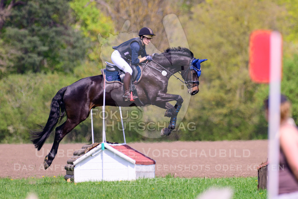 18042026-Gernlinden-01-2-0151 | Fokus Hufschlag Fotografie - Realisiert mit Pictrs.com