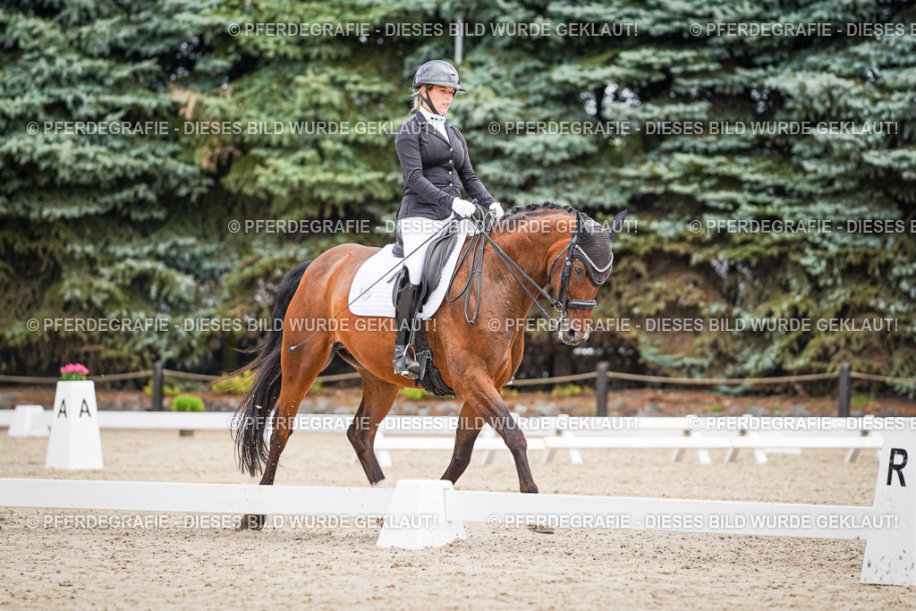 DSC02615 | Pferdegrafie