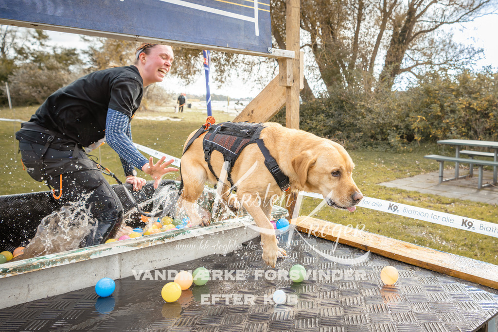 1351_ZZ92521-2 | kk-dogfotos