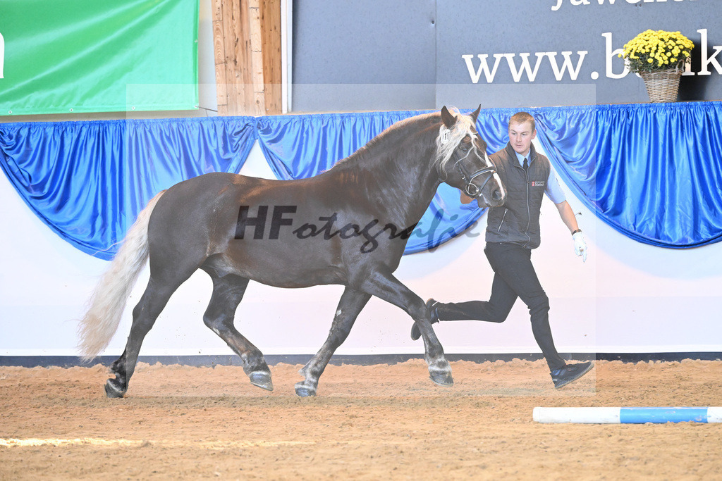 Kat-Nr. 115 Rodewald_HLG Marbach_53220821 | hf-fotografie - Realisiert mit Pictrs.com