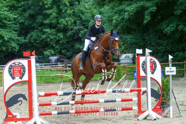 DKP45054 | Turniersportfotografie; Pferdefotografie; Dressurfotografie