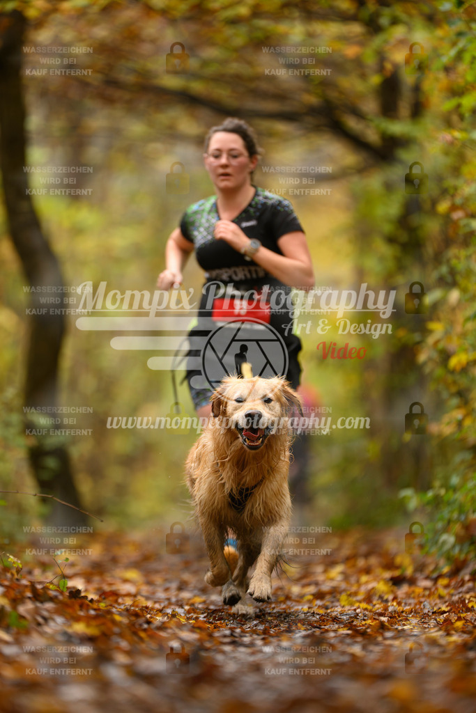 MompixPhotography_CD7S_DI_CCL-49 | mompixphotography