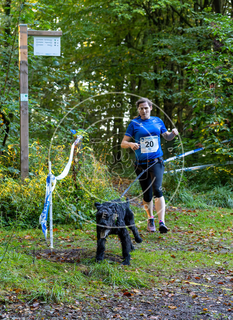 Pfotenfotografie_DV3A6440 | Hundefotografie, Tierfotograf, Pfotenfotografie, Fotoshooting Hund, Hunde Portrait, Hundesport, Hundeportraits, Heideshooting, Hunde, Sportfotograf, Hundefotograf, Turnierhundsport, THS,  - Realisiert mit Pictrs.com