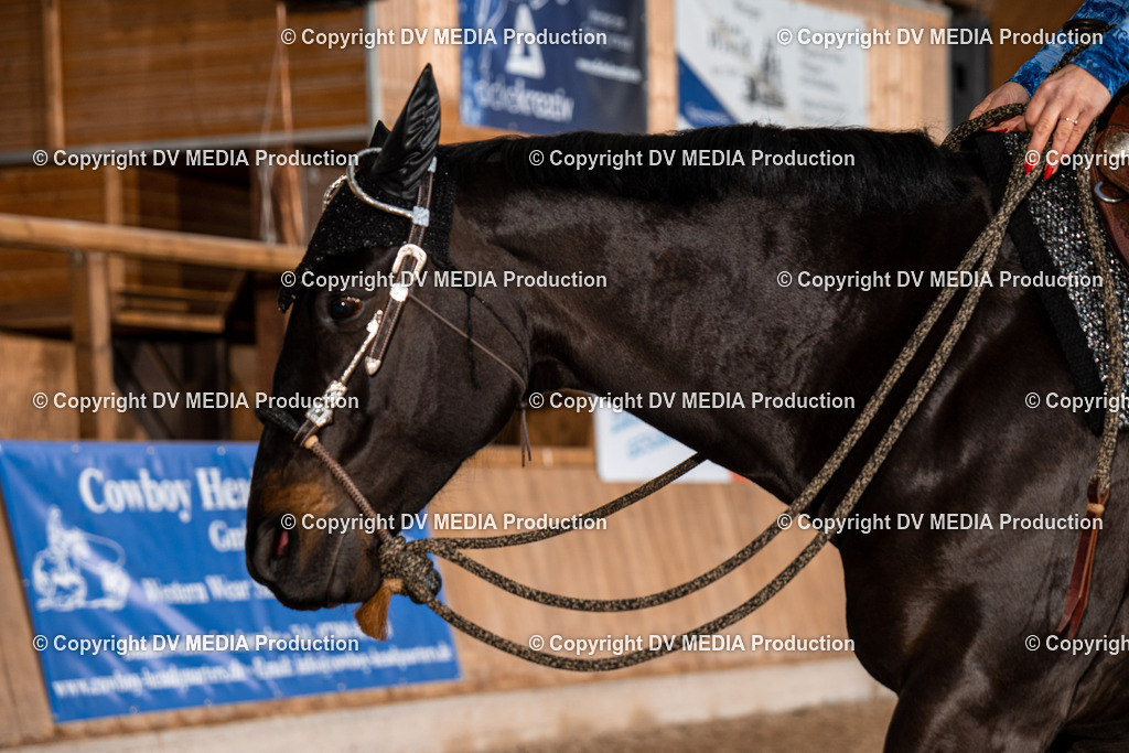 Heidelberg Tag 2-29 | dv-media-shop - Realisiert mit Pictrs.com