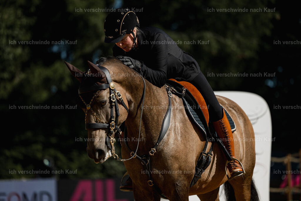 Katja7_FHC2025-27501 | working equitationturnier fotograf videograf stoibphotography marixx film working equitation deutschland reitsport turnierfotografie eventfotografie equestrian events