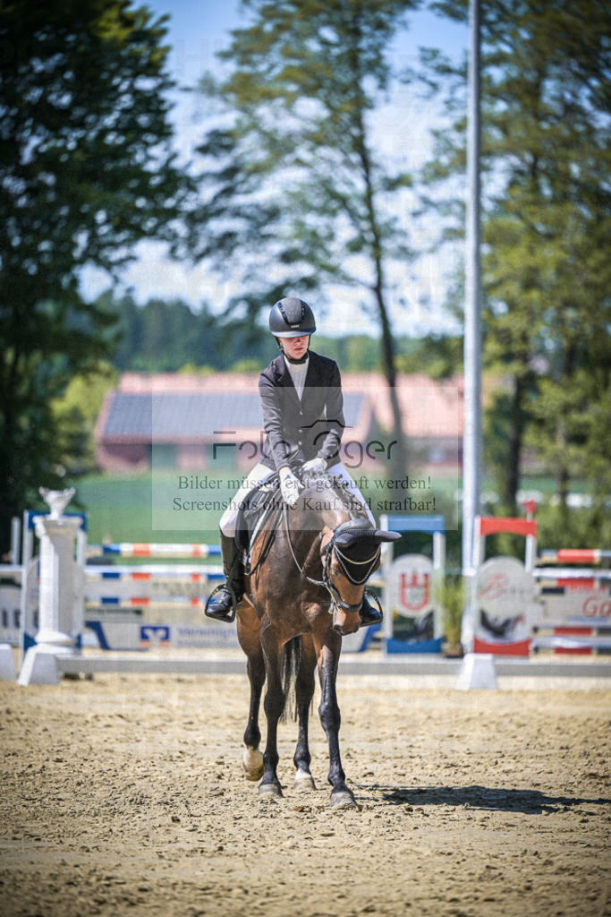 DOS_8969 | Entdecke hochwertige Reitturnierfotos von Foto Oger. Professionell, emotional und authentisch – jetzt Lieblingsmomente im Shop bestellen.Deutschlandweite Turnierfotografie. - Realisiert mit Pictrs.com