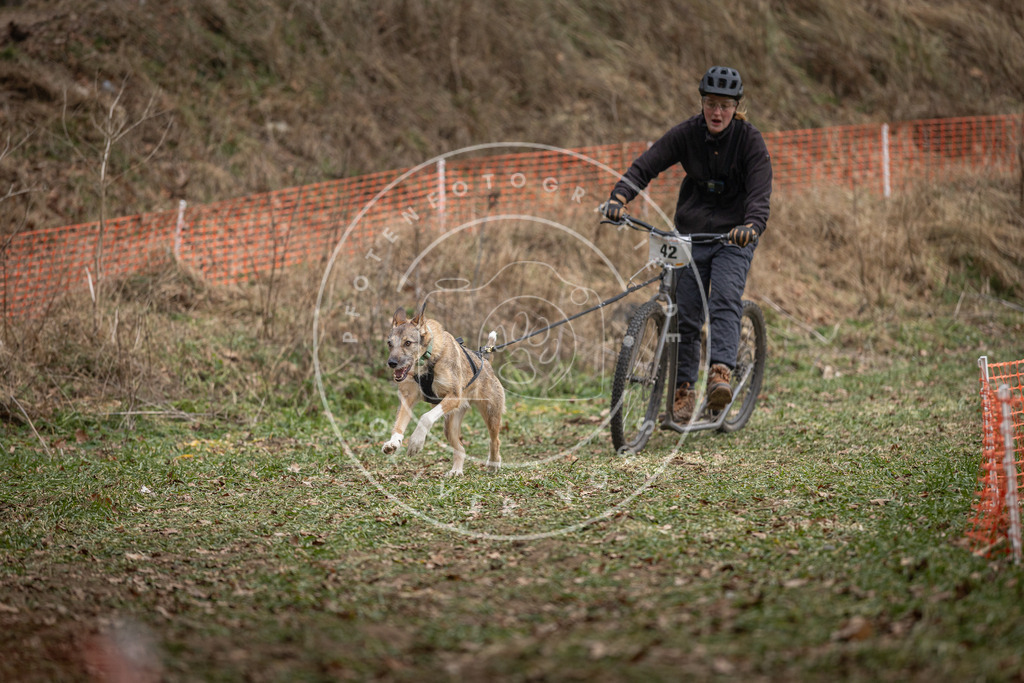 Pfotenfotografie_DV3A0498 | Hundefotografie, Tierfotograf, Pfotenfotografie, Fotoshooting Hund, Hunde Portrait, Hundesport, Hundeportraits, Heideshooting, Hunde, Sportfotograf, Hundefotograf, Turnierhundsport, THS,  - Realisiert mit Pictrs.com