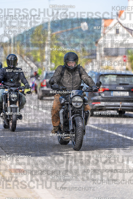 MSFotoService-552 | MSFotoService - Realisiert mit Pictrs.com
