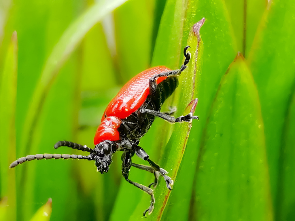 PSX_20230526_232857 | mtkfoto_ - Realisiert mit Pictrs.com