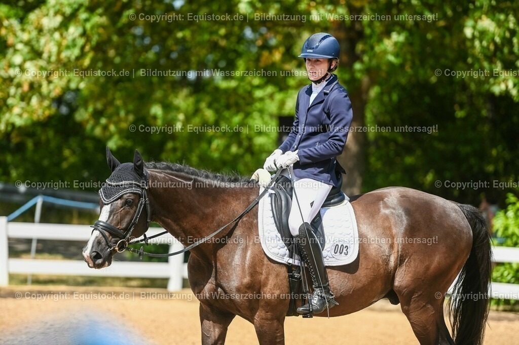 20230715_02_Dressurreiterprüfung Kl.L_0314 | equistock