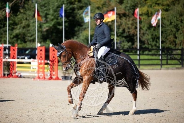 2B4A0562 | pixelfaenger - Realisiert mit Pictrs.com