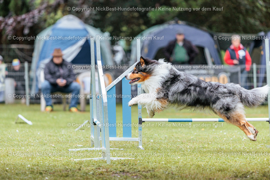 RO-Blumenthal-2026-Nickbest-Hundefotografie-4398 | Dein Hund! Dein Moment! Deine Erinnerungen! Hundefotografie in Bremen Blumenthal. Ich fange die besonderen Momente deines Vierbeiners ein – ob Indoor mit Blitzanlage oder in der freien Natur. Sicher dir dein Moment und dein Termin für eure Erinnerungen.