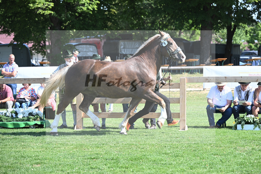 Kat-Nr. 9 Finja_Gerg_20230133 | hf-fotografie - Realisiert mit Pictrs.com