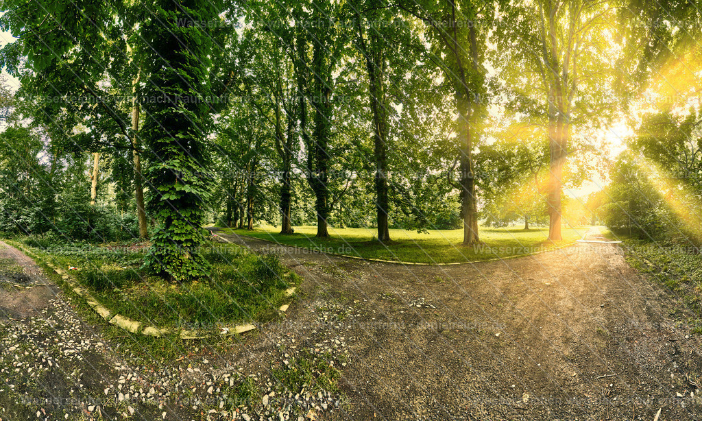 Leipzig Grünau – Weg im Schönauer Park (Sommer 2021) | Leipzig Grünau – Weg im Schönauer Park (Sommer 2021) - Realisiert mit Pictrs.com